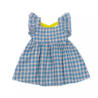 Gingham Blue Dress